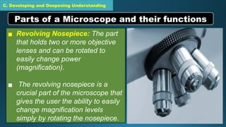 C. Developing and Deepening Understanding
▪ Revolving Nosepiece: The part
that holds two or more objective
lenses and can be rotated to
easily change power
(magnification).
▪ The revolving nosepiece is a
crucial part of the microscope that
gives the user the ability to easily
change magnification levels
simply by rotating the nosepiece.
Parts of a Microscope and their functions
 