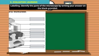 E. EVALUATING LEARNING
E. EVALUATING LEARNING
E. EVALUATING LEARNING
Labelling. Identify the parts of the microscope by writing your answer on
the blank provided.
 