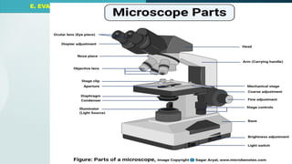 E. EVALUATING LEARNING
E. EVALUATING LEARNING
E. EVALUATING LEARNING
 