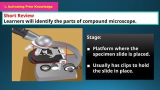 I. Activating Prior Knowledge
Short Review
Learners will identify the parts of compound microscope.
I. Activating Prior Knowledge
Stage:
▪ Platform where the
specimen slide is placed.
▪ Usually has clips to hold
the slide in place.
 