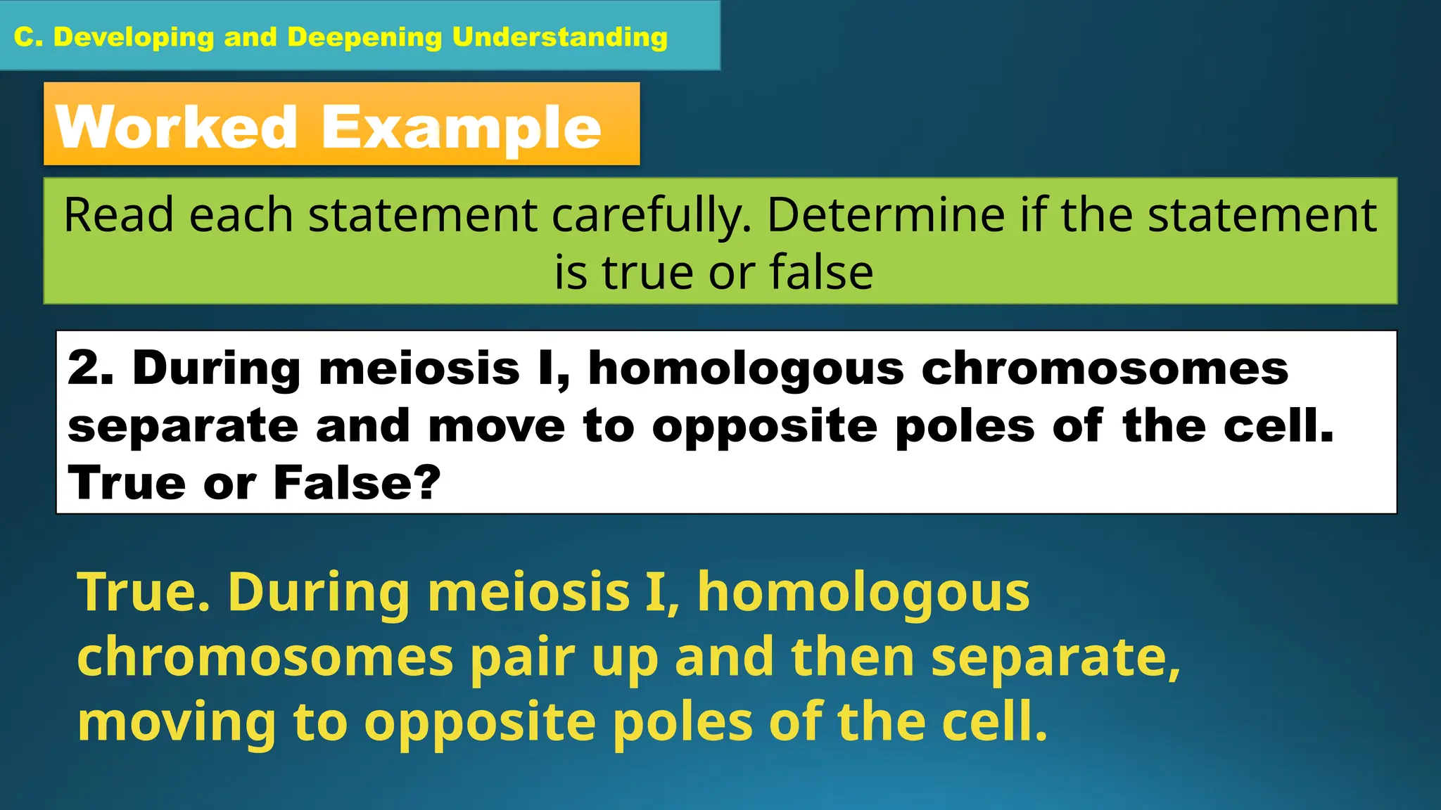 C. Developing and Deepening Understanding
Worked Example
Read each statement carefully. Determine if the statement
is true or false
2. During meiosis I, homologous chromosomes
separate and move to opposite poles of the cell.
True or False?
True. During meiosis I, homologous
chromosomes pair up and then separate,
moving to opposite poles of the cell.
 