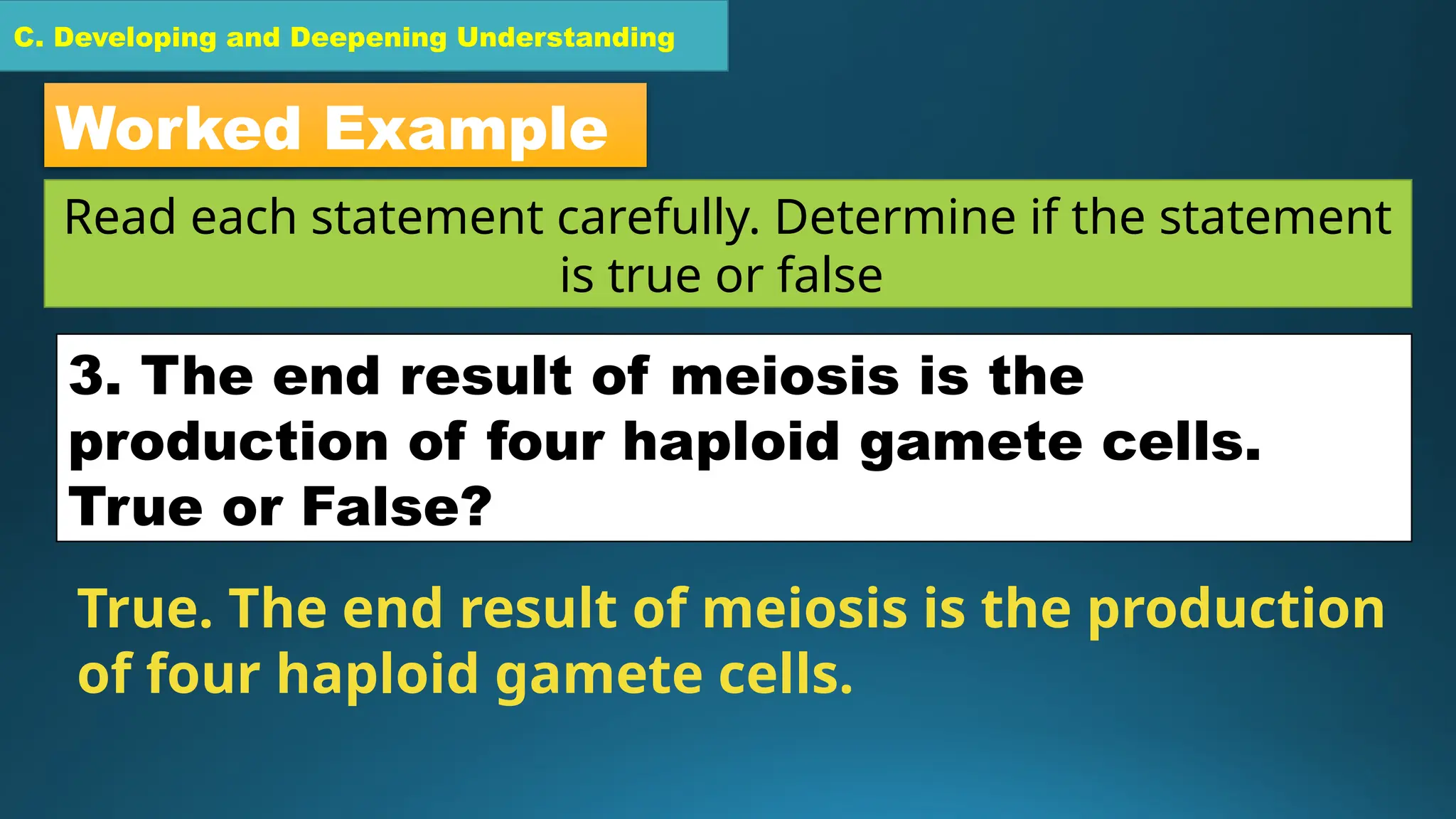 C. Developing and Deepening Understanding
Worked Example
Read each statement carefully. Determine if the statement
is true or false
3. The end result of meiosis is the
production of four haploid gamete cells.
True or False?
True. The end result of meiosis is the production
of four haploid gamete cells.
 