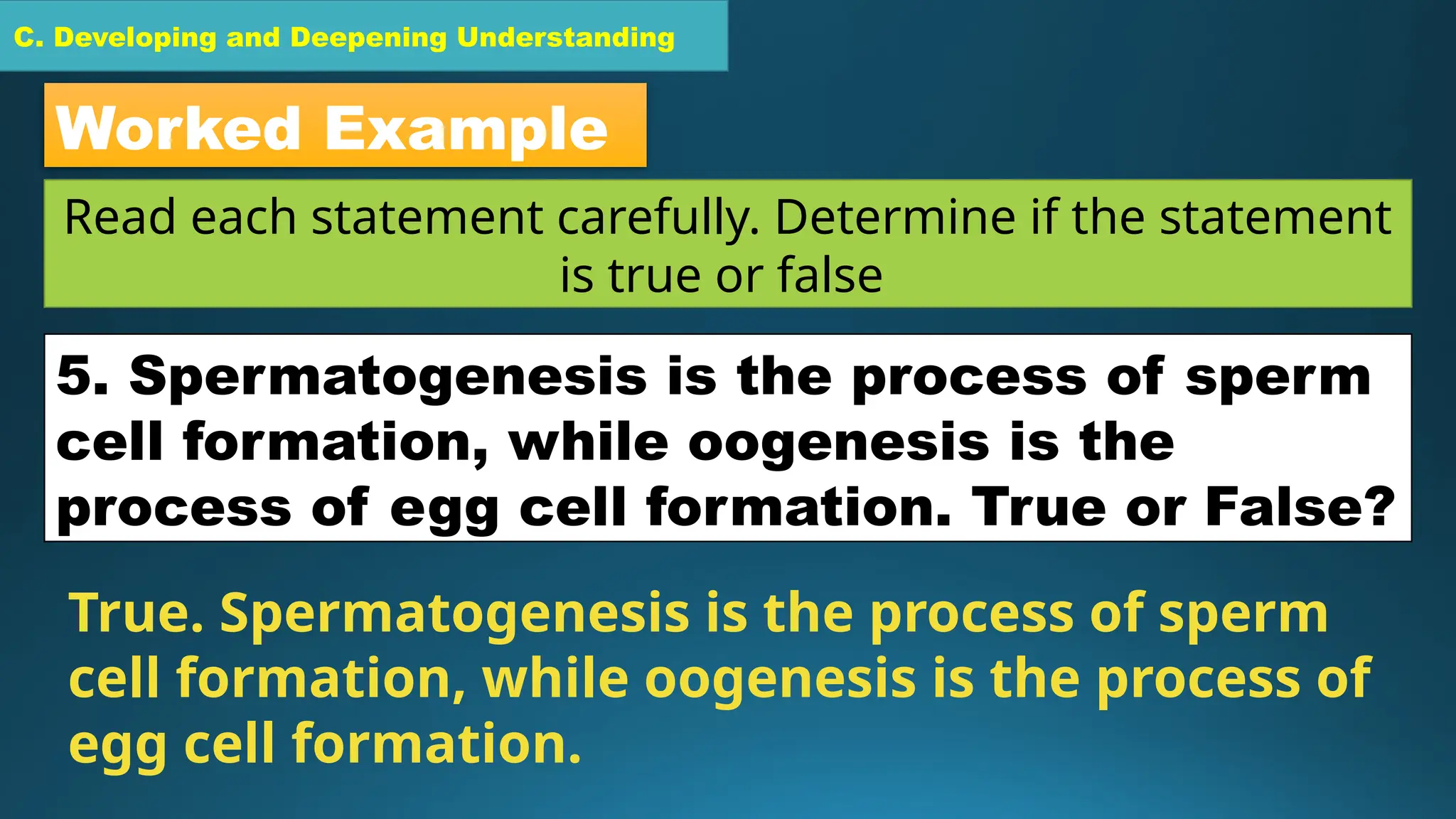 C. Developing and Deepening Understanding
Worked Example
Read each statement carefully. Determine if the statement
is true or false
5. Spermatogenesis is the process of sperm
cell formation, while oogenesis is the
process of egg cell formation. True or False?
True. Spermatogenesis is the process of sperm
cell formation, while oogenesis is the process of
egg cell formation.
 