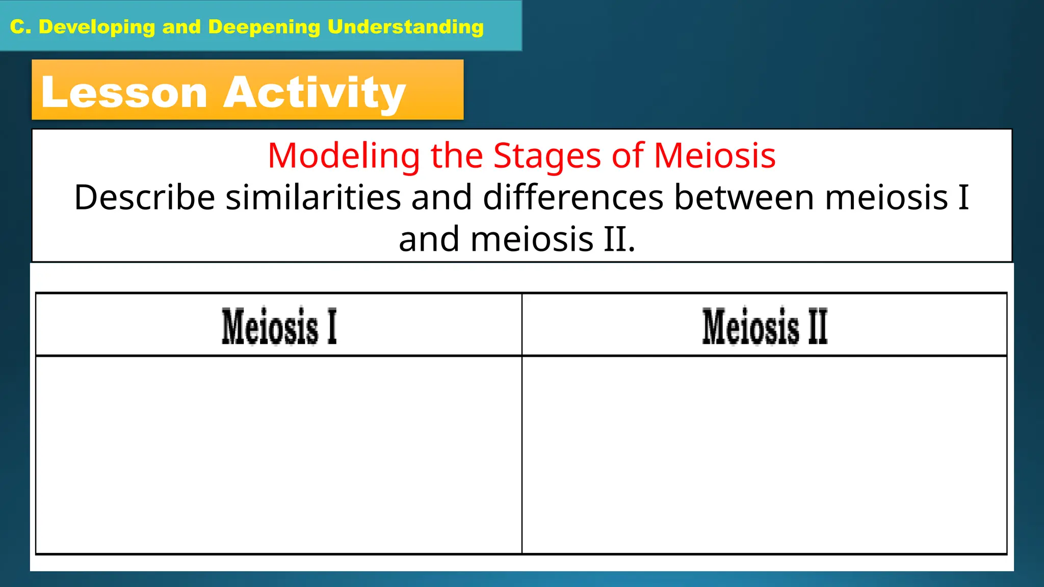 C. Developing and Deepening Understanding
C. Developing and Deepening Understanding
Lesson Activity
Modeling the Stages of Meiosis
Describe similarities and differences between meiosis I
and meiosis II.
 