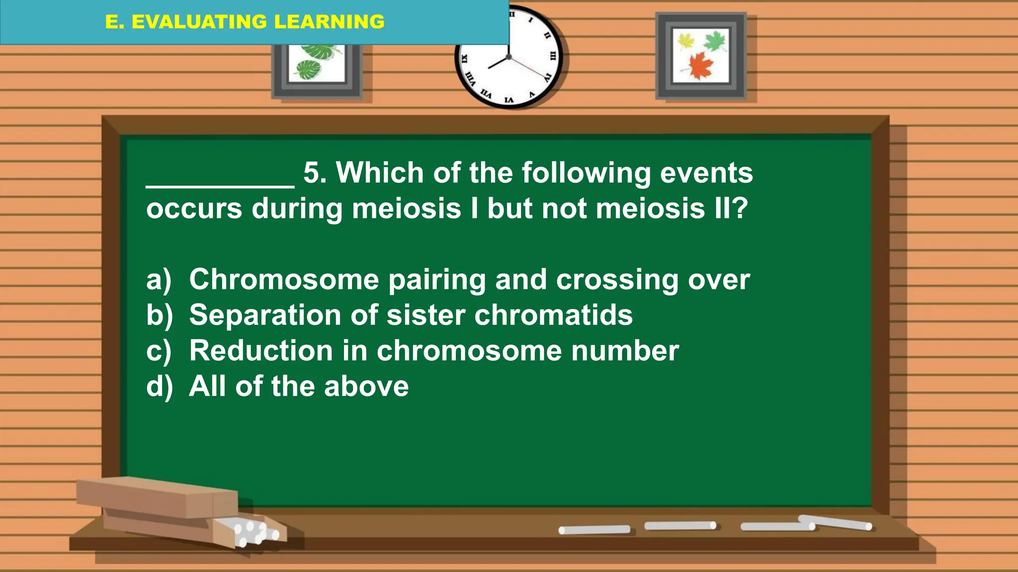 E. EVALUATING LEARNING
E. EVALUATING LEARNING
E. EVALUATING LEARNING
_________ 5. Which of the following events
occurs during meiosis I but not meiosis II?
a) Chromosome pairing and crossing over
b) Separation of sister chromatids
c) Reduction in chromosome number
d) All of the above
 