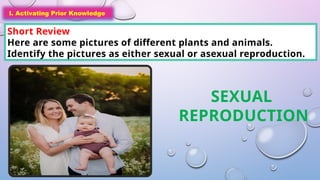 I. Activating Prior Knowledge
Short Review
Here are some pictures of different plants and animals.
Identify the pictures as either sexual or asexual reproduction.
I. Activating Prior Knowledge
SEXUAL
REPRODUCTION
 