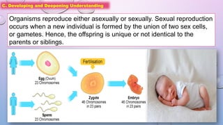 C. Developing and Deepening Understanding
Organisms reproduce either asexually or sexually. Sexual reproduction
occurs when a new individual is formed by the union of two sex cells,
or gametes. Hence, the offspring is unique or not identical to the
parents or siblings.
 