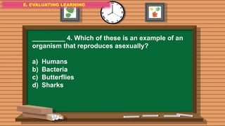 E. EVALUATING LEARNING
E. EVALUATING LEARNING
E. EVALUATING LEARNING
_________ 4. Which of these is an example of an
organism that reproduces asexually?
a) Humans
b) Bacteria
c) Butterflies
d) Sharks
 
