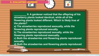E. EVALUATING LEARNING
E. EVALUATING LEARNING
E. EVALUATING LEARNING
_________ 9. A gardener noticed that the offspring of his
strawberry plants looked identical, while all of the
flowering plants looked different. Which is likely true of
the plants?
a) The strawberries reproduced asexually, while the
flowering plants reproduced sexually.
b) The strawberries reproduced sexually, while the
flowering plants reproduced asexually.
c) Both the strawberries and flowering plants reproduced
sexually.
d) Both the strawberries and flowering plants reproduced
asexually.
 