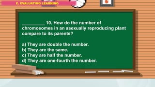 E. EVALUATING LEARNING
E. EVALUATING LEARNING
E. EVALUATING LEARNING
_________ 10. How do the number of
chromosomes in an asexually reproducing plant
compare to its parents?
a) They are double the number.
b) They are the same.
c) They are half the number.
d) They are one-fourth the number.
 