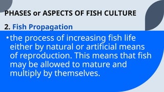 TLE8-AFA-Q2-Week2_Phases of Fish Culture | PPTX