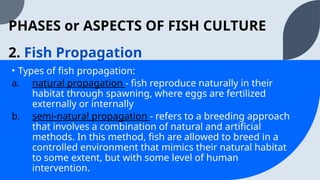 TLE8-AFA-Q2-Week2_Phases of Fish Culture | PPTX