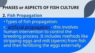 TLE8-AFA-Q2-Week2_Phases of Fish Culture | PPTX