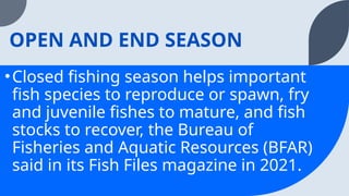 TLE8-AFA-Q2-Week2_Phases of Fish Culture | PPTX