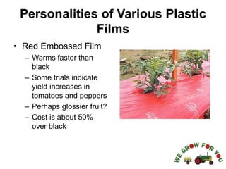Personalities of Various Plastic
Films
• Red Embossed Film
– Warms faster than
black
– Some trials indicate
yield increases in
tomatoes and peppers
– Perhaps glossier fruit?
– Cost is about 50%
over black
 