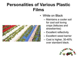 Personalities of Various Plastic
Films
• White on Black
– Maintains a cooler soil
for cool soil loving
crops (lettuces and
strawberries)
– Excellent reflectivity
– Excellent weed barrier
– Cost is higher, 30-40%
over standard black.
 