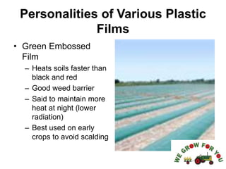 Personalities of Various Plastic
Films
• Green Embossed
Film
– Heats soils faster than
black and red
– Good weed barrier
– Said to maintain more
heat at night (lower
radiation)
– Best used on early
crops to avoid scalding
 