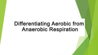 Q2_Differentiating Aerobic from Anaerobic Respirtion..pptx