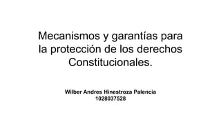 Mecanismos y garantías para
la protección de los derechos
Constitucionales.
Wilber Andres Hinestroza Palencia
1028037528
 