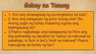 Gabay na Tanong
● 1. Ano ang sinasagisag ng punongkahoy sa tula?
● 2. Ano ang kalagayan ng puno noong una? Sa
Anong yugto ng buhay maaaring iugnay ang
kalahgayang ito?
● 3.Paano nagbabago ang kalagayang ito?Ano ang
ibig ipahiwatig ng taludtod na “kahoy na nabuwal sa
pakahiga, ni ibon ni tao’y hindi na matuwa? Paano
maiuugnay sa buhay ng tao?
 