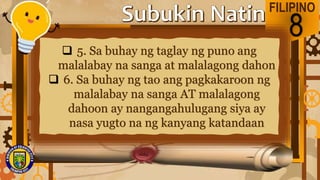 FILIPINO
8
 5. Sa buhay ng taglay ng puno ang
malalabay na sanga at malalagong dahon
 6. Sa buhay ng tao ang pagkakaroon ng
malalabay na sanga AT malalagong
dahoon ay nangangahulugang siya ay
nasa yugto na ng kanyang katandaan
 