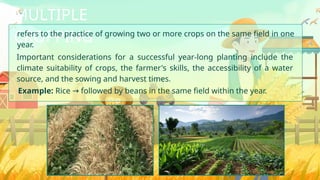 Multi Cropping Method Q2 G4 - L2 NATURAL, ORGANIC, AND ALTERNATIVE PLANNING METHODS.pptx