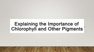 Q2_Importance of Chlorophyll nad other pIgments.pptx