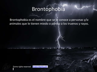 Brontophobia
BBrontophobia es el nombre que se le conoce a personas y/o
animales que le tienen miedo o pánico a los truenos y rayos.
Some rights reserved SWalid Mahfoudh
 
