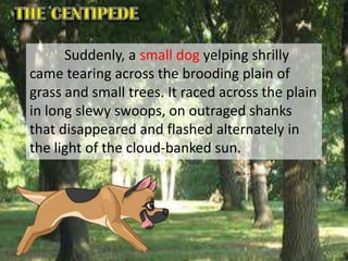 Suddenly, a small dog yelping shrilly
came tearing across the brooding plain of
grass and small trees. It raced across the plain
in long slewy swoops, on outraged shanks
that disappeared and flashed alternately in
the light of the cloud-banked sun.
 