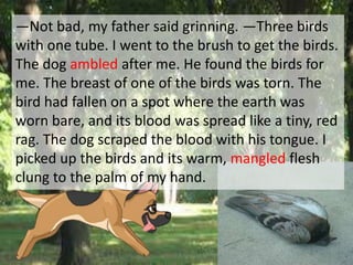 ―Not bad, my father said grinning. ―Three birds
with one tube. I went to the brush to get the birds.
The dog ambled after me. He found the birds for
me. The breast of one of the birds was torn. The
bird had fallen on a spot where the earth was
worn bare, and its blood was spread like a tiny, red
rag. The dog scraped the blood with his tongue. I
picked up the birds and its warm, mangled flesh
clung to the palm of my hand.
 