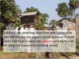 I did not say anything when she told Father that
she did not like my pigeon house because it stank
and I had to give away my pigeons and Berto had
to chop the house into kindling wood.
 