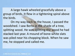 A large hawk wheeled gracefully above a
group of birds. It flew in a tightening spiral above
the birds.
On my way back to the house, I passed the
woodshed. I saw Berto in the shade of a tree,
splitting wood. He was splitting the wood he had
stacked last year. A mound of bone-white slats
was piled near his chopping block. When he saw
me, he stopped and called me.
 