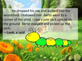 He dropped his axe and walked into the
woodshed. I followed him. Berto went to a
corner of the shed. I saw a jute sack spread on
the ground. Berto stopped and picked up the
sack.
―Look, e said.
 