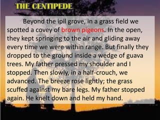 Beyond the ipil grove, in a grass field we
spotted a covey of brown pigeons. In the open,
they kept springing to the air and gliding away
every time we were within range. But finally they
dropped to the ground inside a wedge of guava
trees. My father pressed my shoulder and I
stopped. Then slowly, in a half-crouch, we
advanced. The breeze rose lightly; the grass
scuffed against my bare legs. My father stopped
again. He knelt down and held my hand.
 