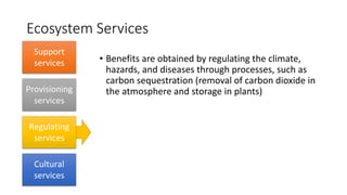 Ecosystem Services
• Benefits are obtained by regulating the climate,
hazards, and diseases through processes, such as
carbon sequestration (removal of carbon dioxide in
the atmosphere and storage in plants)
Support
services
Provisioning
services
Regulating
services
Cultural
services
 
