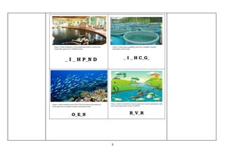 3
_ I _ H P_N D _ I _ H C_G_
O_E_N R_V_R
https://www.indiamart.com/proddetail/indoor-restaurant-
touch-fish-pond-22113460833.html
https://www.about-goldfish.com/The_Goldfish_Gazette-
September-2016.html
https://www.nytimes.com/2016/02/23/science/an-island-a-
focal-point-for-a-healthy-marine-ecosystem.html
https://www.vectorstock.com/royalty-free-vector/landscape-with-
river-and-funny-fish-vector-4198737
 