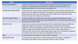 Lpo Microscope Example Q2_living things and their environment.pptx