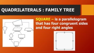 QUADRILATERALS : FAMILY TREE
SQUARE – is a parallelogram
that has four congruent sides
and four right angles
 