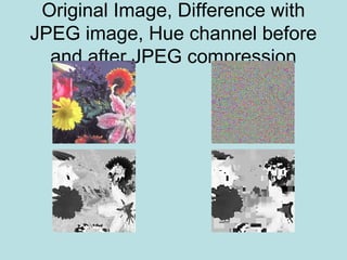 Original Image, Difference with
JPEG image, Hue channel before
and after JPEG compression
 