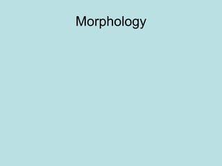 Morphology
 