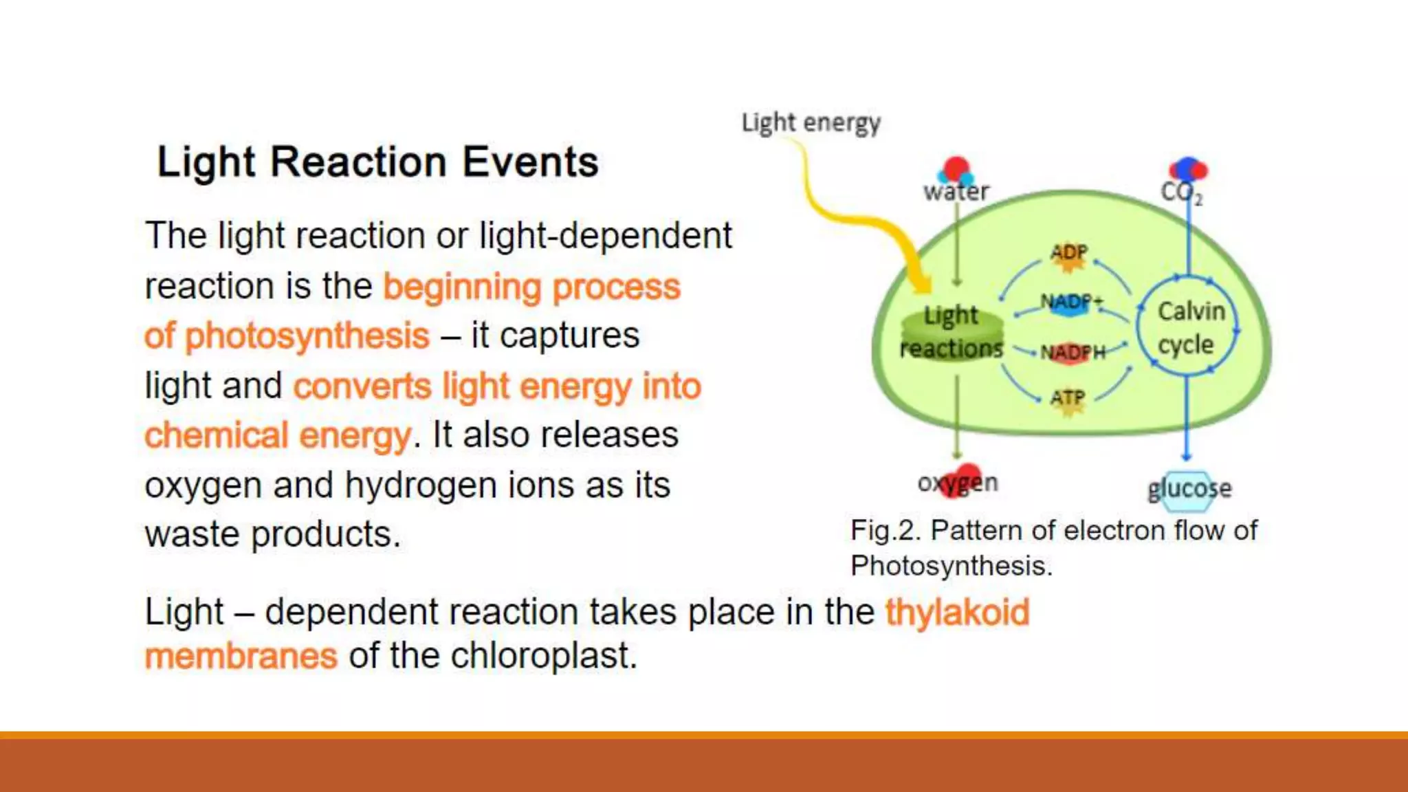 Q2_Pattern of Electron Flow.pptx