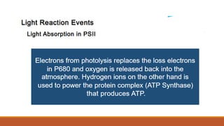 Q2_Pattern of Electron Flow.pptx
