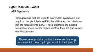 Q2_Pattern of Electron Flow.pptx