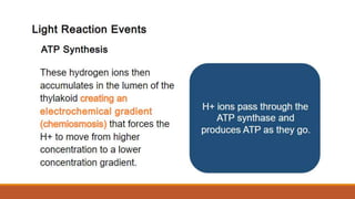 Q2_Pattern of Electron Flow.pptx