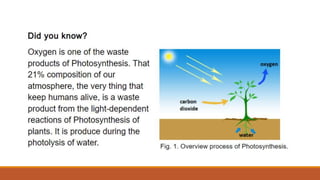 Q2_Pattern of Electron Flow.pptx