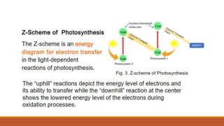 Q2_Pattern of Electron Flow.pptx