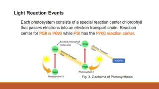 Q2_Pattern of Electron Flow.pptx