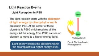 Q2_Pattern of Electron Flow.pptx