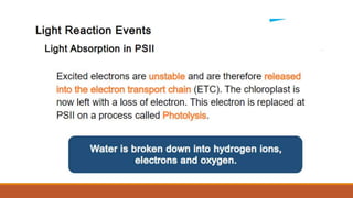 Q2_Pattern of Electron Flow.pptx