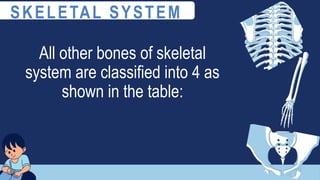 All other bones of skeletal
system are classified into 4 as
shown in the table:
SKELETAL SYSTEM
 